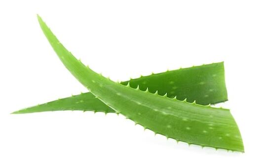 brand fungeent brand enthält Aloe Vera